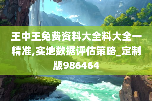 王中王免费资料大全料大全一精准,实地数据评估策略_定制版986464