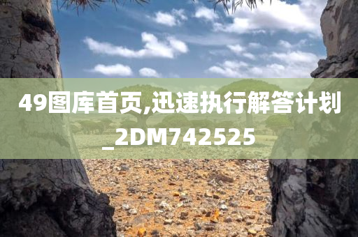 49图库首页,迅速执行解答计划_2DM742525