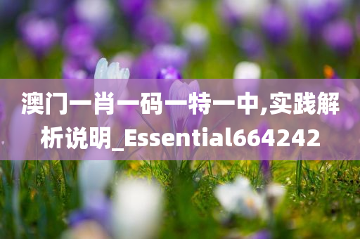 澳门一肖一码一特一中,实践解析说明_Essential664242