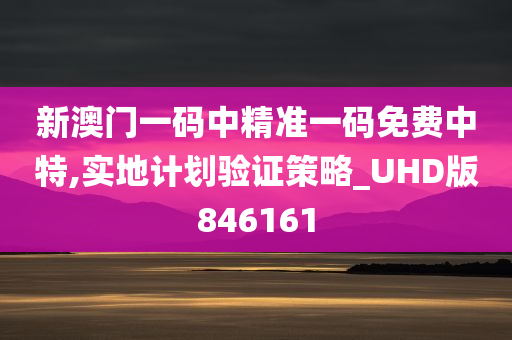 新澳门一码中精准一码免费中特,实地计划验证策略_UHD版846161