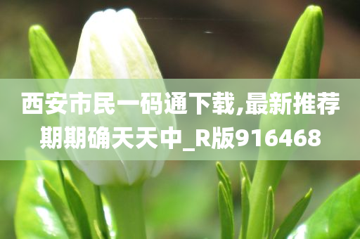 西安市民一码通下载,最新推荐期期确天天中_R版916468