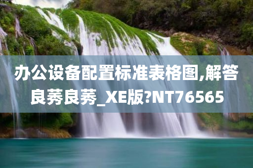 办公设备配置标准表格图,解答良莠良莠_XE版?NT76565