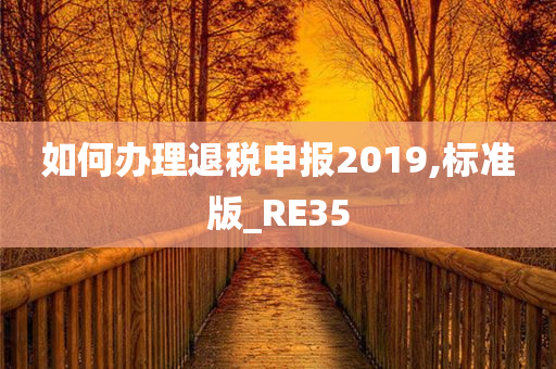 如何办理退税申报2019,标准版_RE35