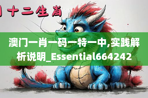 澳门一肖一码一特一中,实践解析说明_Essential664242