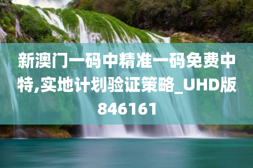 新澳门一码中精准一码免费中特,实地计划验证策略_UHD版846161