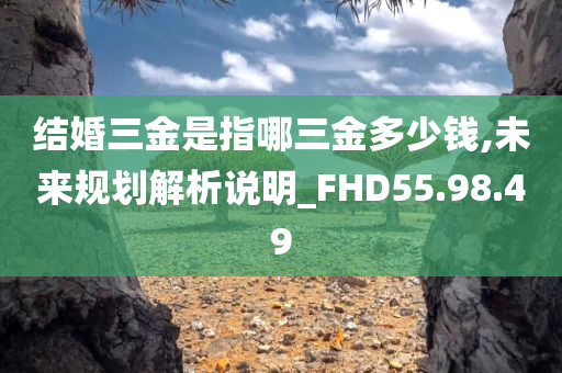 结婚三金是指哪三金多少钱,未来规划解析说明_FHD55.98.49