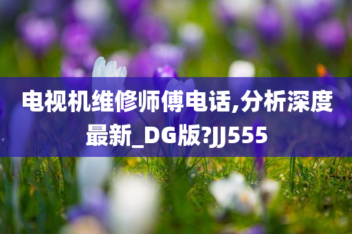 电视机维修师傅电话,分析深度最新_DG版?JJ555