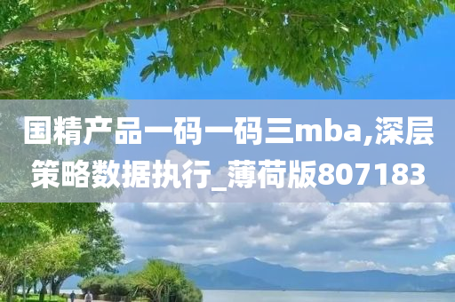 国精产品一码一码三mba,深层策略数据执行_薄荷版807183