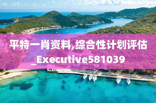 平特一肖资料,综合性计划评估_Executive581039