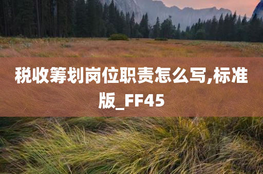 税收筹划岗位职责怎么写,标准版_FF45