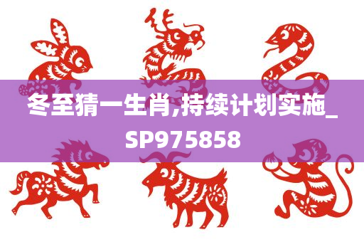 冬至猜一生肖,持续计划实施_SP975858