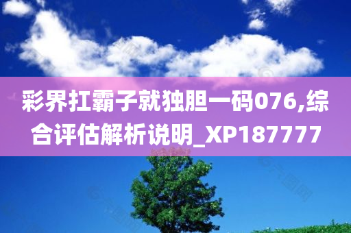 彩界扛霸子就独胆一码076,综合评估解析说明_XP187777