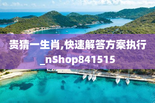 贵猜一生肖,快速解答方案执行_nShop841515