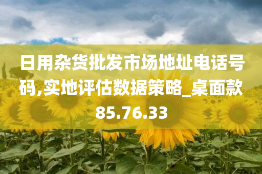 日用杂货批发市场地址电话号码,实地评估数据策略_桌面款85.76.33