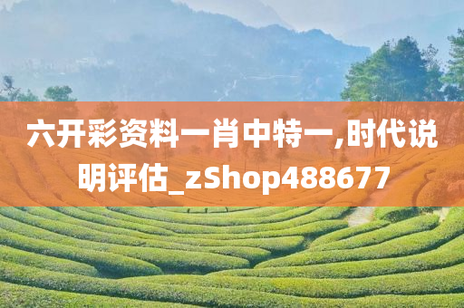 六开彩资料一肖中特一,时代说明评估_zShop488677