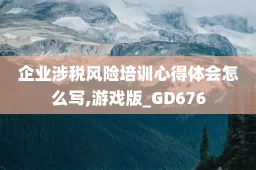 企业涉税风险培训心得体会怎么写,游戏版_GD676