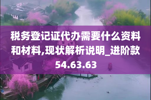 税务登记证代办需要什么资料和材料,现状解析说明_进阶款54.63.63