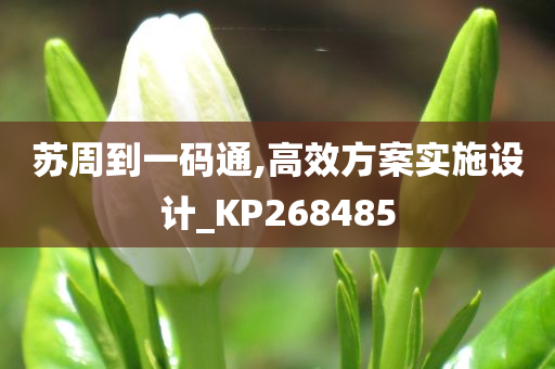 苏周到一码通,高效方案实施设计_KP268485