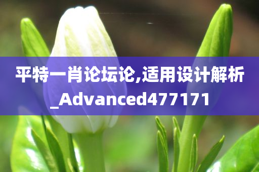 平特一肖论坛论,适用设计解析_Advanced477171