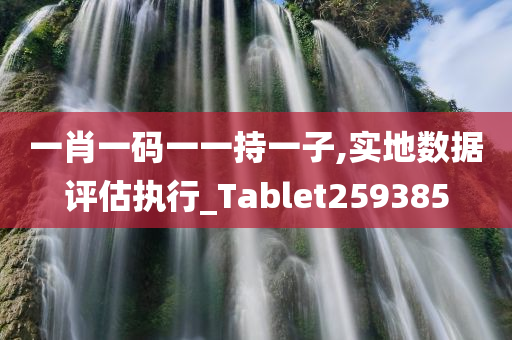 一肖一码一一持一子,实地数据评估执行_Tablet259385