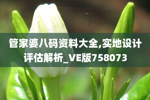 管家婆八码资料大全,实地设计评估解析_VE版758073