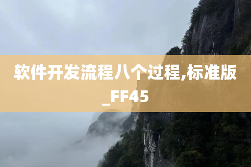 软件开发流程八个过程,标准版_FF45