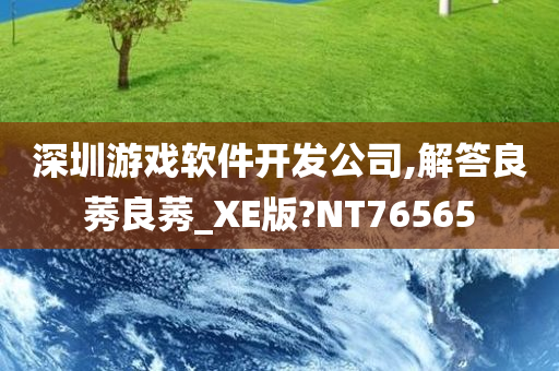 深圳游戏软件开发公司,解答良莠良莠_XE版?NT76565