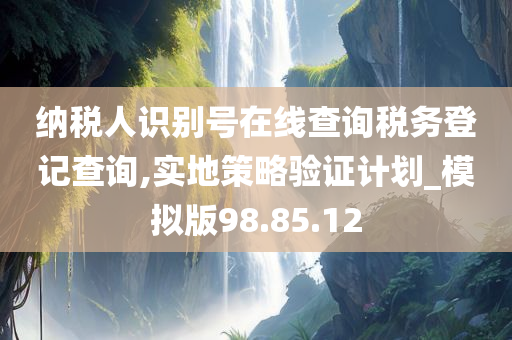 纳税人识别号在线查询税务登记查询,实地策略验证计划_模拟版98.85.12