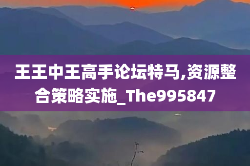 王王中王高手论坛特马,资源整合策略实施_The995847