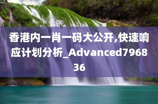 香港内一肖一码大公开,快速响应计划分析_Advanced796836