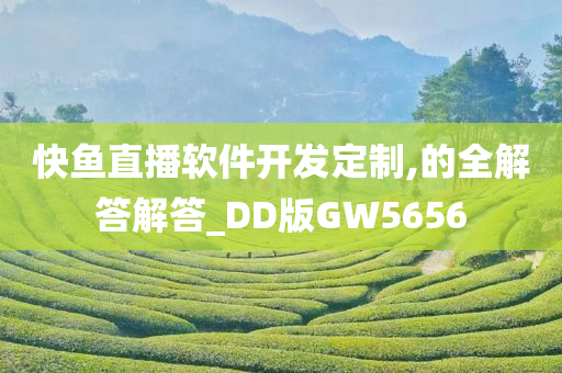 快鱼直播软件开发定制,的全解答解答_DD版GW5656