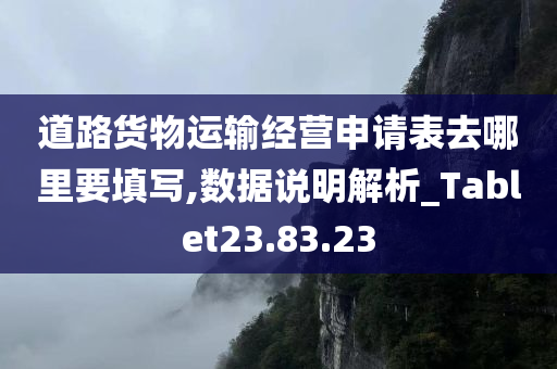 道路货物运输经营申请表去哪里要填写,数据说明解析_Tablet23.83.23