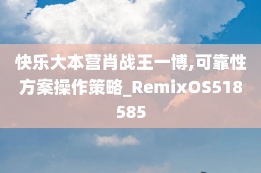 快乐大本营肖战王一博,可靠性方案操作策略_RemixOS518585