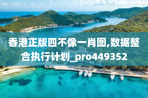 香港正版四不像一肖图,数据整合执行计划_pro449352