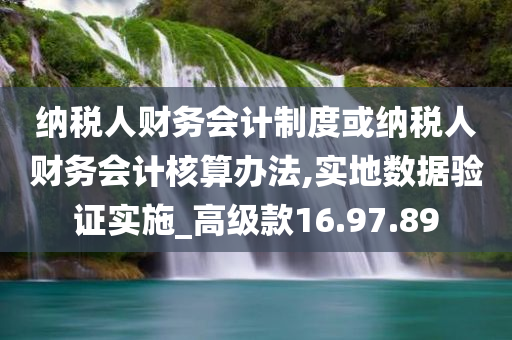 纳税人财务会计制度或纳税人财务会计核算办法,实地数据验证实施_高级款16.97.89