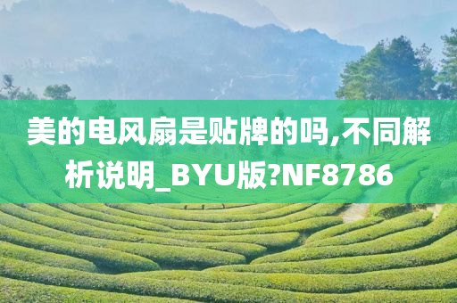 美的电风扇是贴牌的吗,不同解析说明_BYU版?NF8786