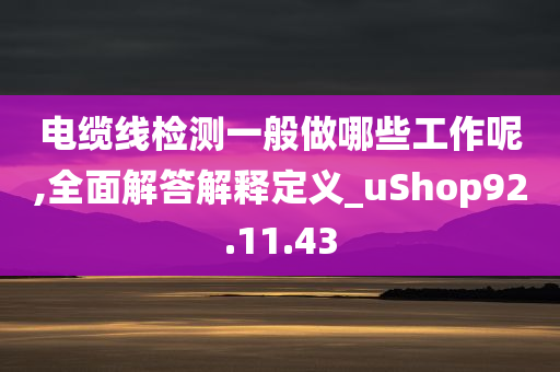 电缆线检测一般做哪些工作呢,全面解答解释定义_uShop92.11.43