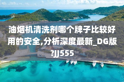 油烟机清洗剂哪个牌子比较好用的安全,分析深度最新_DG版?JJ555