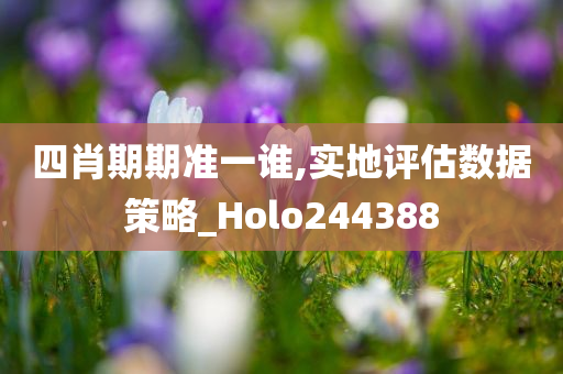 四肖期期准一谁,实地评估数据策略_Holo244388