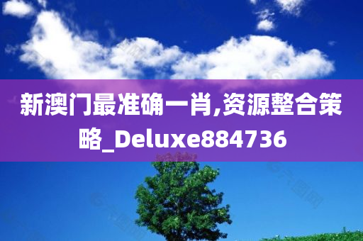 新澳门最准确一肖,资源整合策略_Deluxe884736