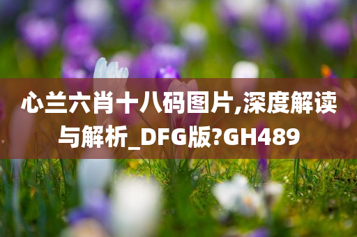 心兰六肖十八码图片,深度解读与解析_DFG版?GH489