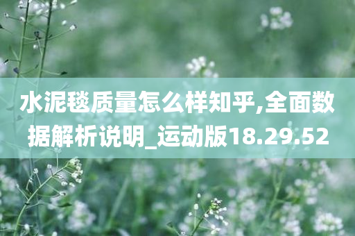 水泥毯质量怎么样知乎,全面数据解析说明_运动版18.29.52