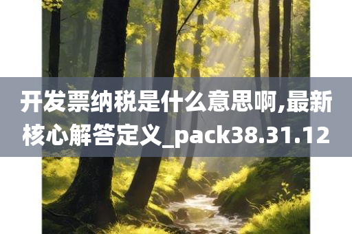 开发票纳税是什么意思啊,最新核心解答定义_pack38.31.12