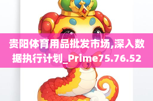 贵阳体育用品批发市场,深入数据执行计划_Prime75.76.52