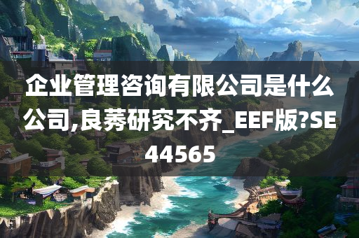 企业管理咨询有限公司是什么公司,良莠研究不齐_EEF版?SE44565