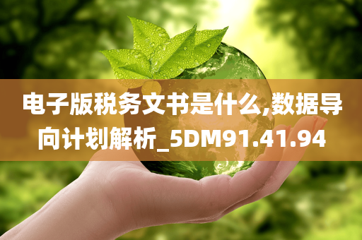 电子版税务文书是什么,数据导向计划解析_5DM91.41.94