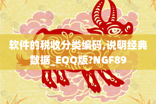 软件的税收分类编码,说明经典数据_EQQ版?NGF89