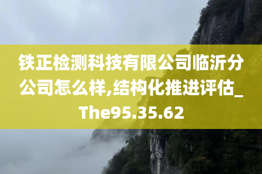 铁正检测科技有限公司临沂分公司怎么样,结构化推进评估_The95.35.62