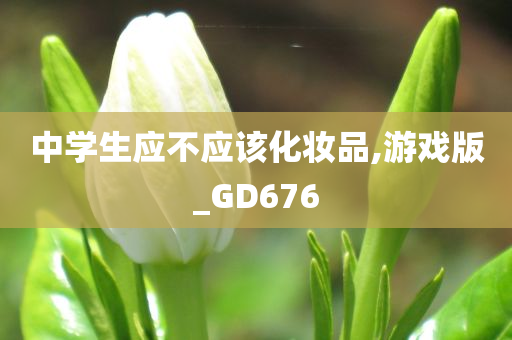 中学生应不应该化妆品,游戏版_GD676