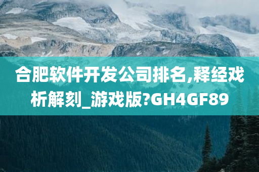 合肥软件开发公司排名,释经戏析解刻_游戏版?GH4GF89